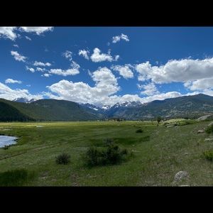 Meet your Posher, Roy